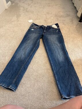 Lovervet Plus Size Women’s Straight-Leg Jeans in Dark Blue Wash